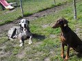afb_20160502 (83)